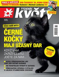 Květy