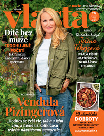 Vlasta