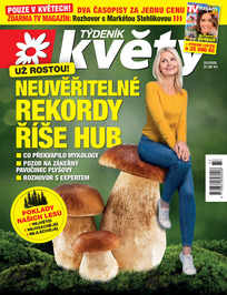 Květy