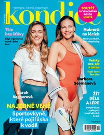 Kondice