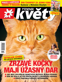 Květy