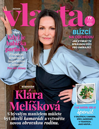 Vlasta
