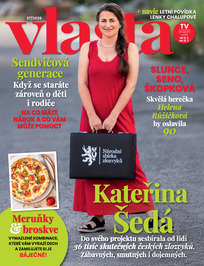 Vlasta