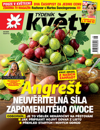 Květy