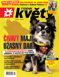 Květy