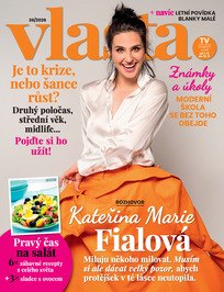 Vlasta