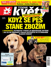 Květy