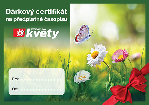 Květy certifikát