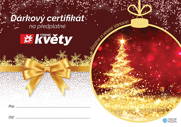 Květy certifikát vánoční